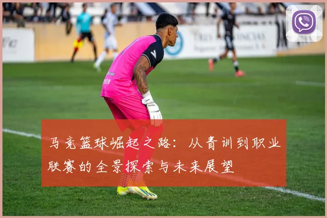 马竞篮球崛起之路：从青训到职业联赛的全景探索与未来展望