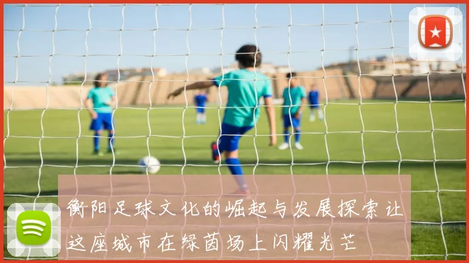 衡阳足球文化的崛起与发展探索让这座城市在绿茵场上闪耀光芒